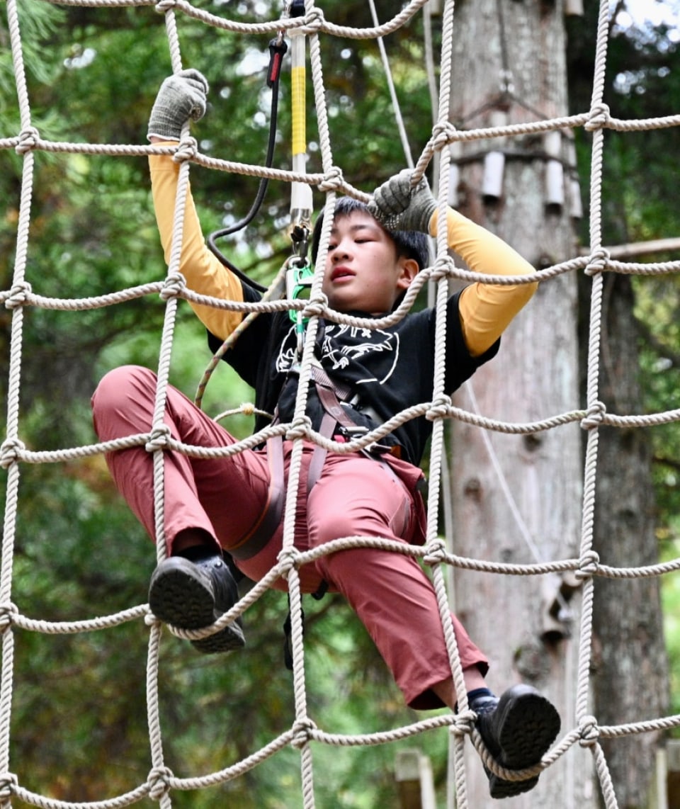 Safety and Supervision