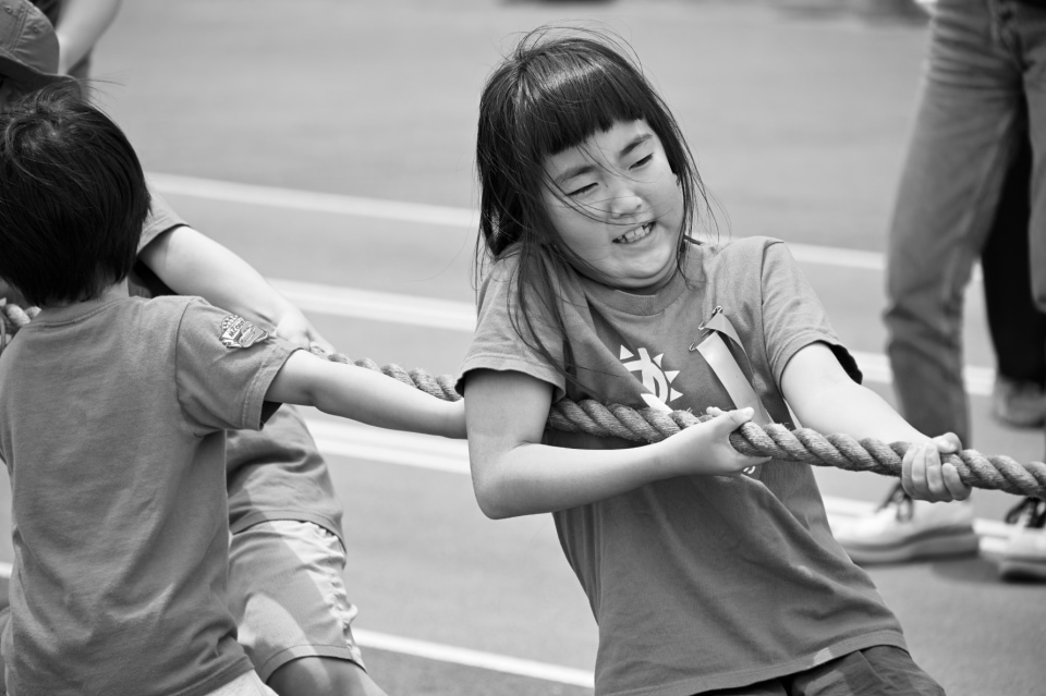 Service Learning Across the School